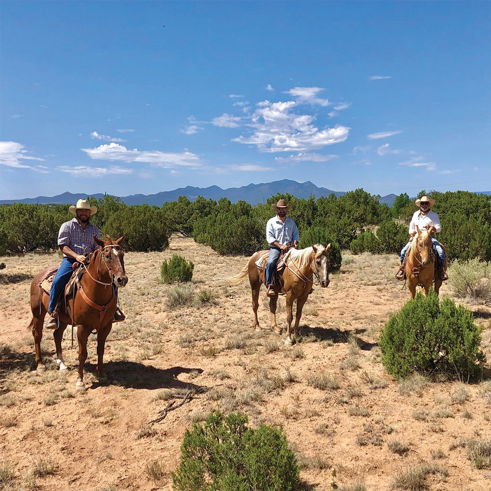 Three cowboys on horses in a field.