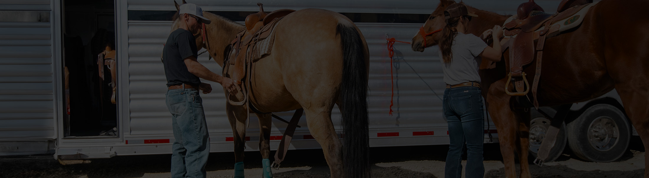 Two cowboys gearing up their horses.