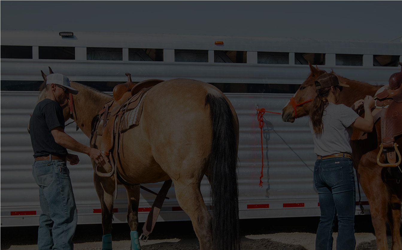Two cowboys gearing up their horses.